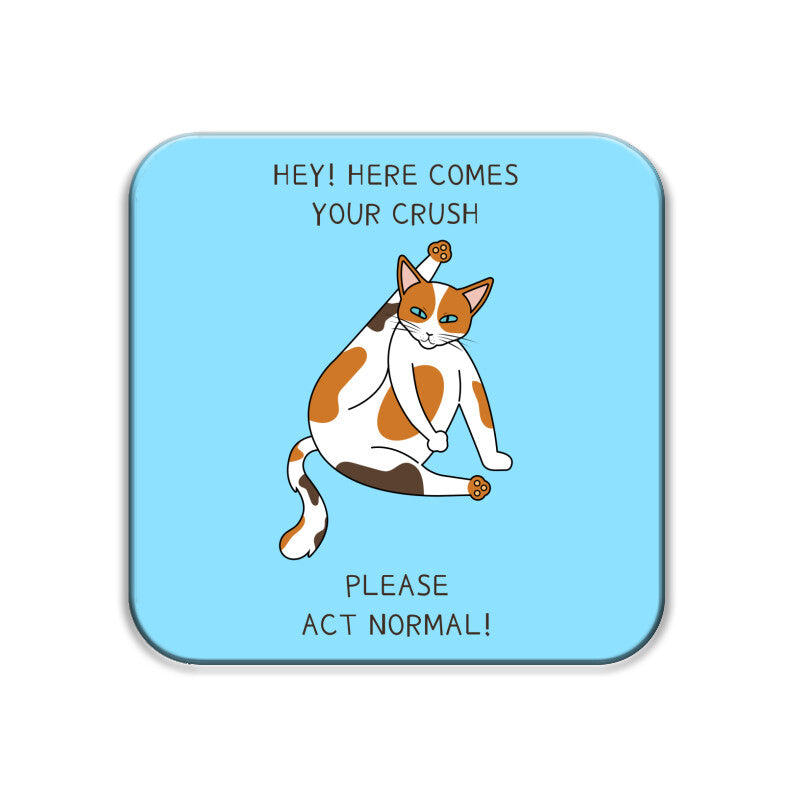 Coasters - Mood Swings